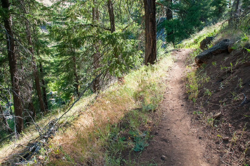 Flow on South Side Trail