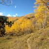 Welcome to fall in Colorado on the Two Elk Trail!