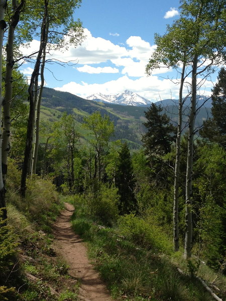 Great views on a nice descent through the aspens.