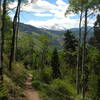 Great views on a nice descent through the aspens.