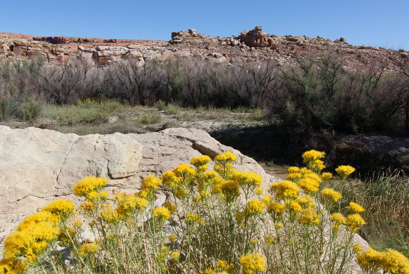 On the trail to Delicate Arch, Arches NP UT