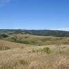 Point Reyes - Estero Trail