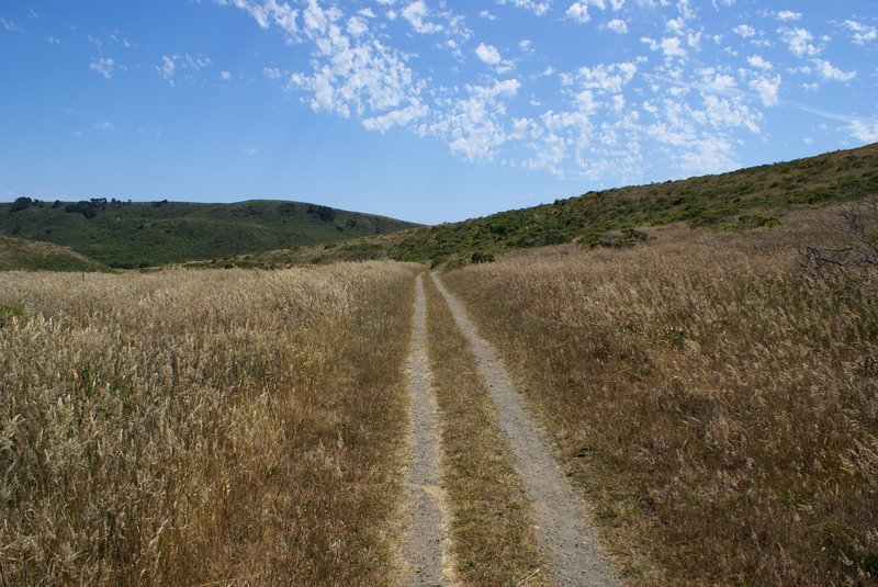 Point Reyes - Estero Trail