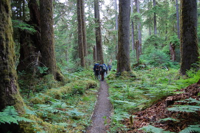 Backpackers along the trail