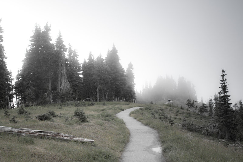 Hurricane Ridge