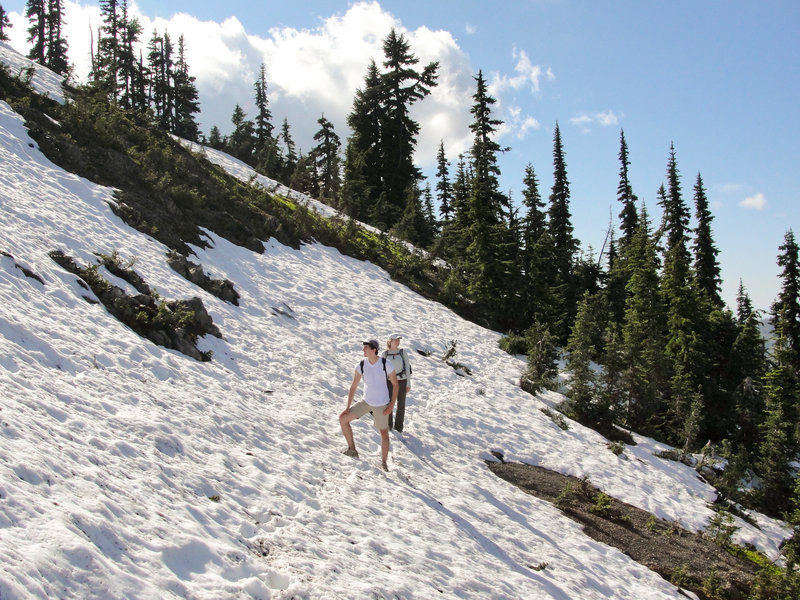 On a snowfield in Olympic National Park