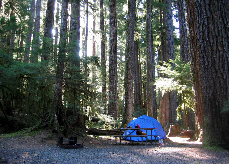 Sol Duc camping