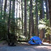 Sol Duc camping