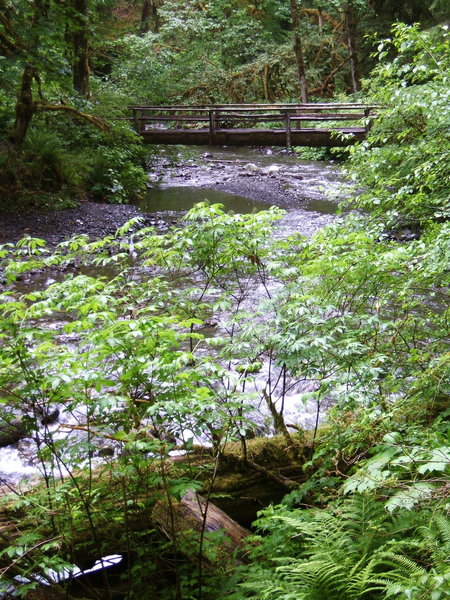 Bridge over Barnes Creek