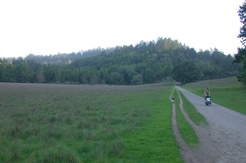 On the mellow Bear Valley Trail