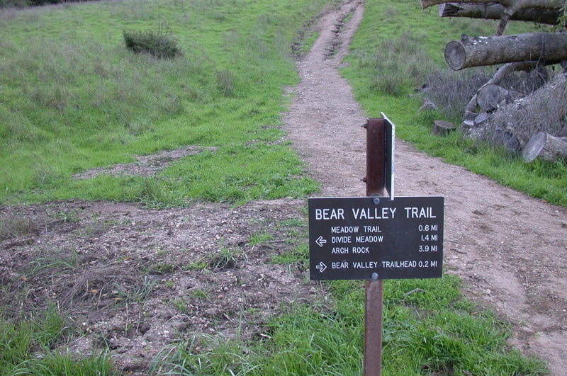 Junction of Mt Wittenberg Trail and Bear Valley Trail