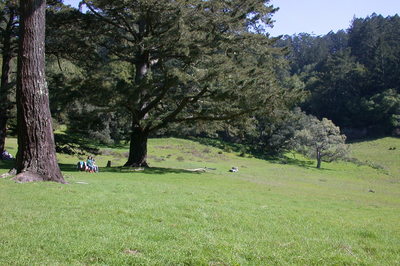 Divide Meadow