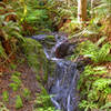 Small falls of Coast Creek