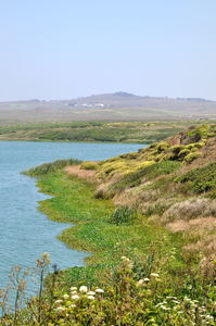 Abbott's Lagoon shoreline