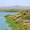 Abbott's Lagoon shoreline