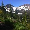 Wildflowers blooming along the Appleton Pass Trail