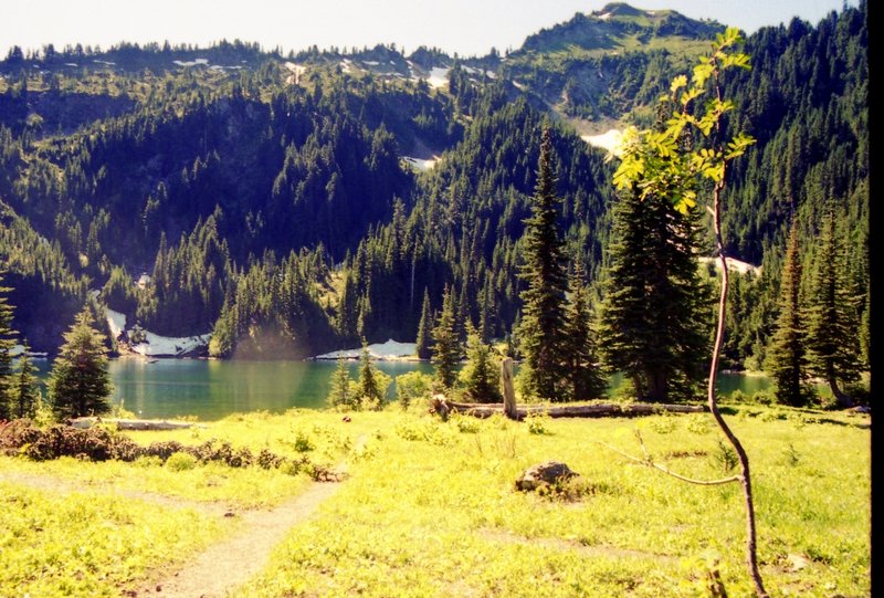 Shore of Boulder Lake