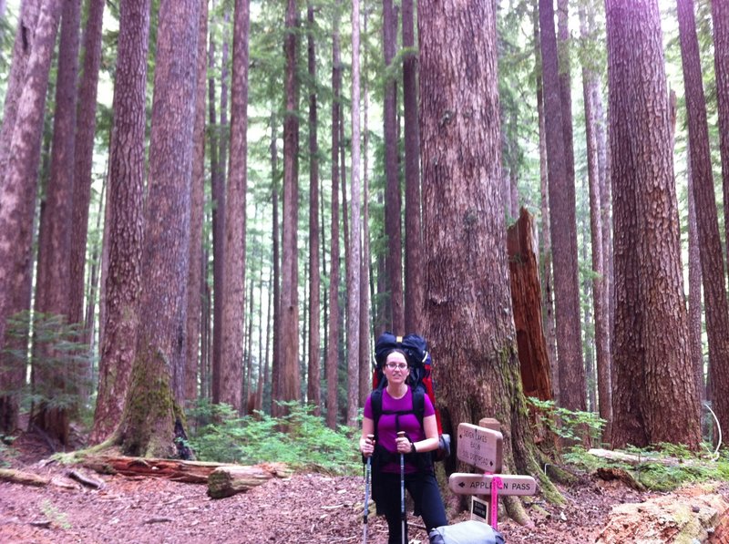 Junction: Appleton Pass Trail & Sol Duc River Trail