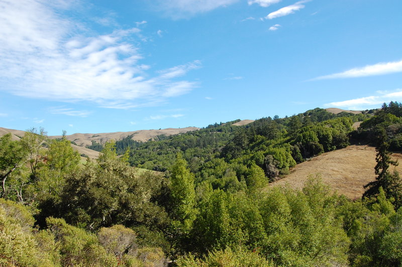 Bolinas Ridge views