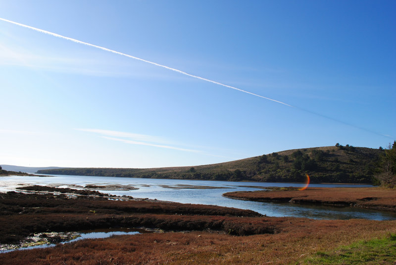 Estuary view