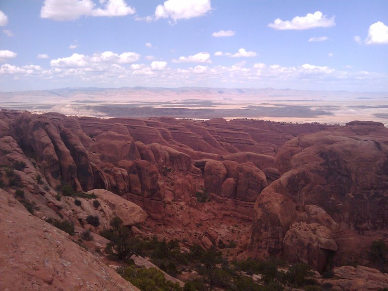 View of the crazy fin formations