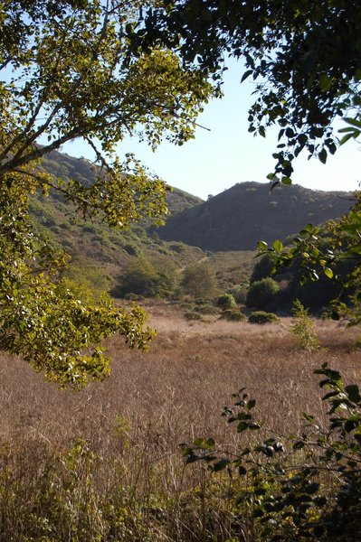 Laguana trail