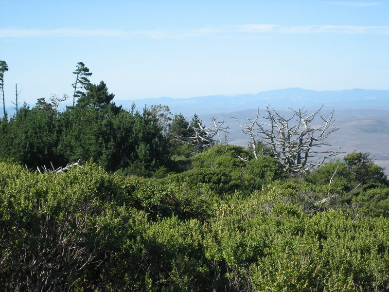 Views east from Inverness Ridge