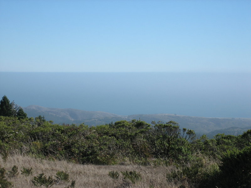 View through scrub to the ocean