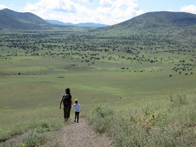 Grasslands between volcanic cones.