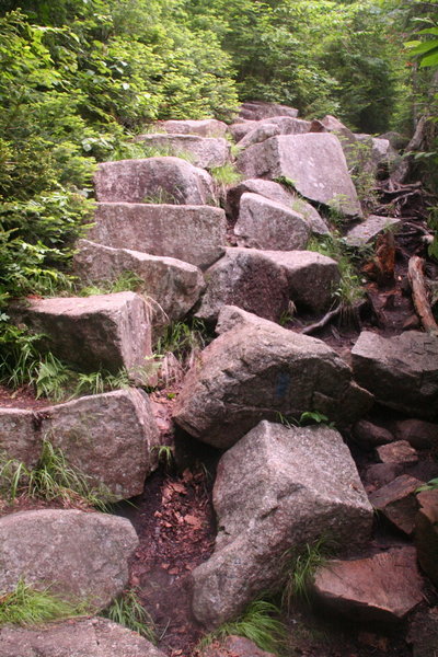 Climbing Falling Waters