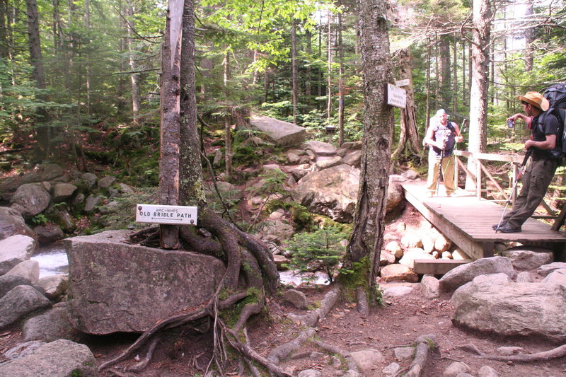 Climbing Falling Waters Trail