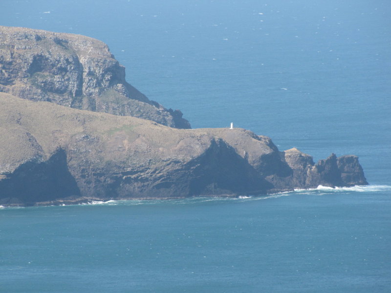 20101005_Otago_Peninsula_Allans_Beach_049