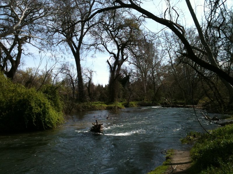 Big Chico Creek