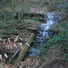 Frozen waterfall!