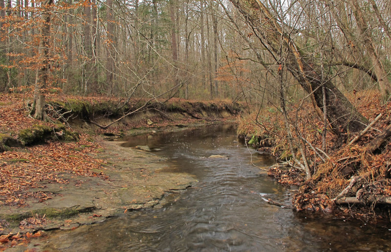 Campbell Creek.