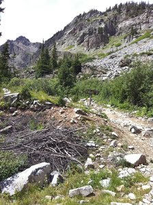 Looking up the rugged terrain