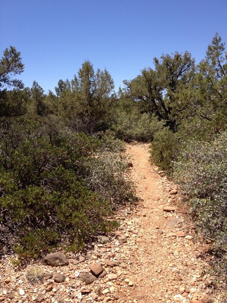 Rocky trail.