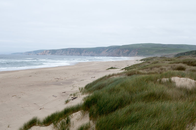 Wind on the dunes of Kehoe Beach
