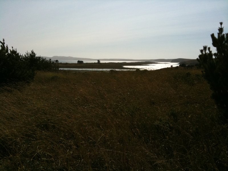 Marsh from the Muddy Hollow Trail