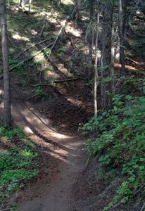 Typical trail conditions on the lovely Eagle Vail Trail