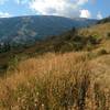 Elkhorn starts on old doubletrack with some nice scenery.