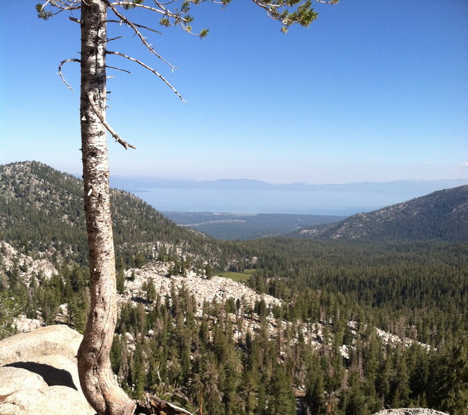 Looking toward South Lake Tahoe on the TRT