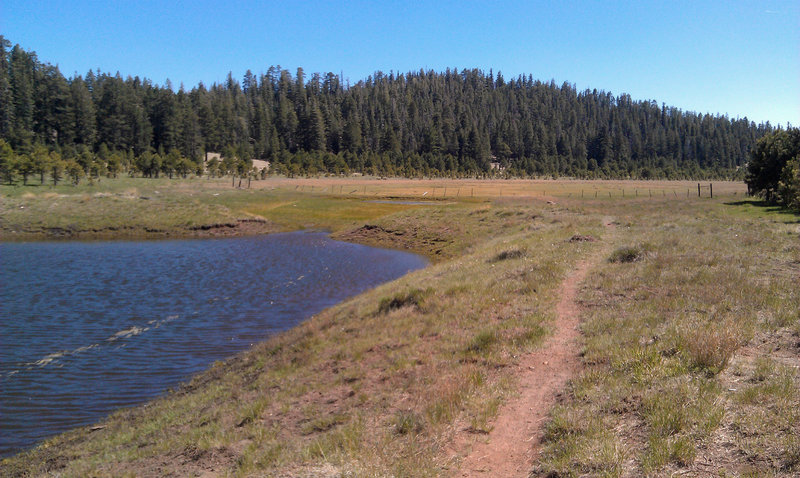 Heading out into the meadows of the Dry Lakes on the Dry Lakes Vista Trail