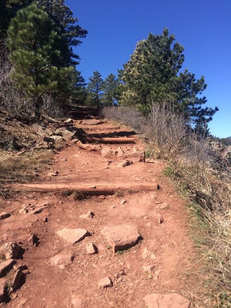 Tough section of the Viewpoint Trail