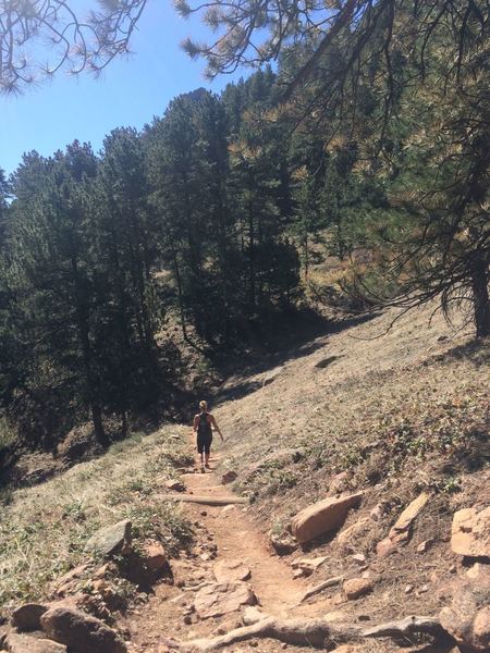 Hiking down the Flagstaff Trail