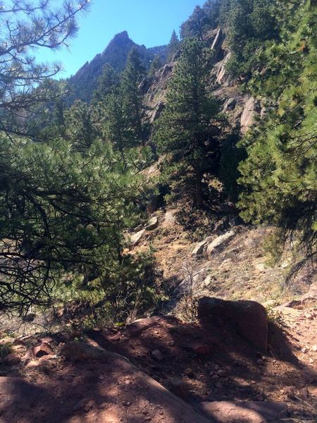 Views of the First Flatiron