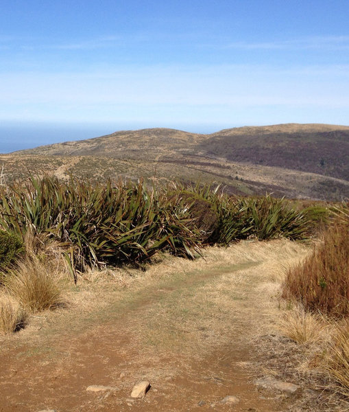 Views out to crashing waves on the beach from the high country of Swampy Ridge.