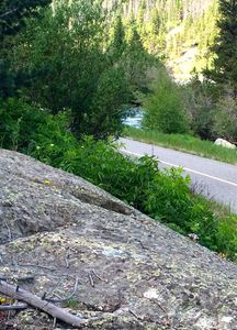 Nice stretch right along Tenmile Creek.
