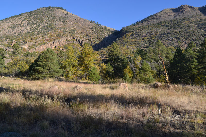 Mount Elden from the Forces of Nature Trail