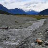 Glacier Burn and the Dart Valley